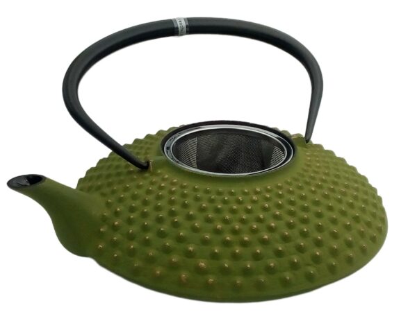 Théière japonaise en fonte Hira Arare 1,2 litre verte avec filtre