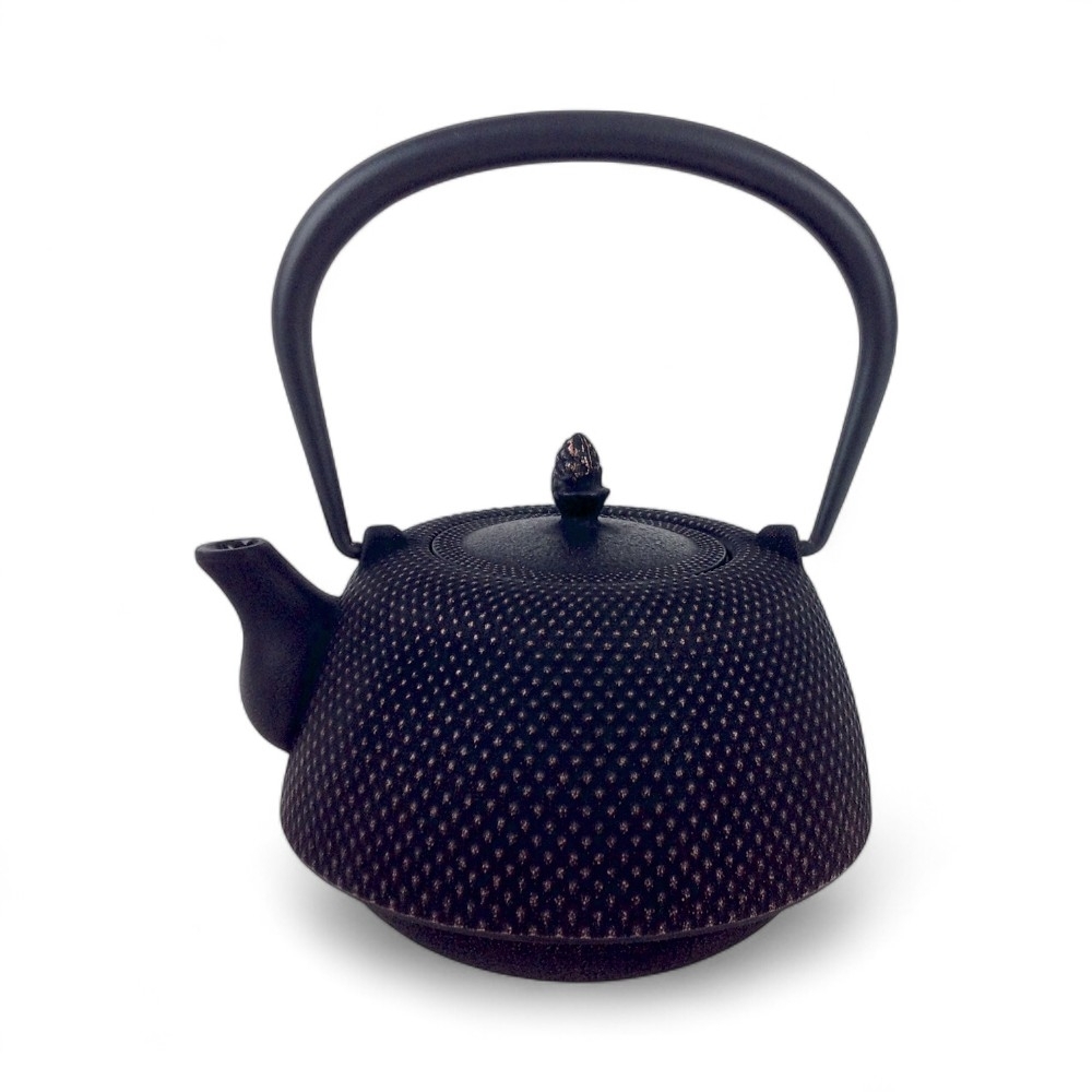 Théière japonaise en fonte Nanbu Arare noir et or